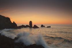 dailyPhoto20